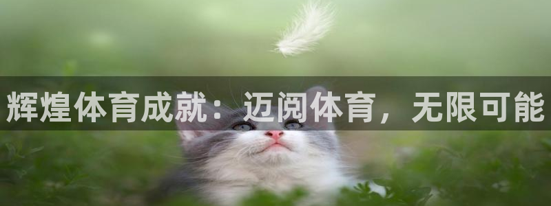 辉煌体育成就：迈阅体育，无限可能