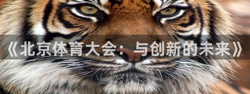 《北京体育大会：与创新的未来》